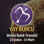 Yay Burcu - Venüs Balık Transiti Yorumları