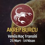 Akrep Burcu - Venüs Koç Transiti Yorumu