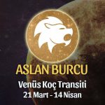 Aslan Burcu - Venüs Koç Transiti Yorumu