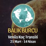 Balık Burcu - Venüs Koç Transiti Yorumu