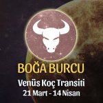 Boğa Burcu - Venüs Koç Transiti Yorumu