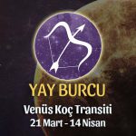Yay Burcu - Venüs Koç Transiti Yorumu