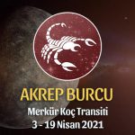 Akrep Burcu - Merkür Koç Transiti Yorumu