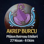 Akrep Burcu - Plüton Retrosu Yorumu