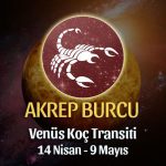 Akrep Burcu - Venüs Boğa Transiti Burç Yorumu