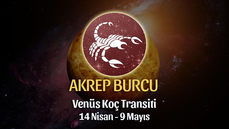 Akrep Burcu - Venüs Boğa Transiti Burç Yorumu