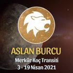 Aslan Burcu - Merkür Koç Transiti Yorumu