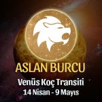 Aslan Burcu - Venüs Boğa Transiti Burç Yorumu