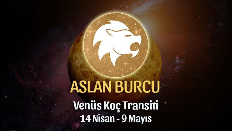 Aslan Burcu - Venüs Boğa Transiti Burç Yorumu