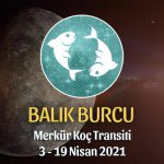 Balık Burcu - Merkür Koç Transiti Yorumu