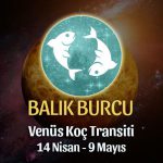 Balık Burcu - Venüs Boğa Transiti Burç Yorumu