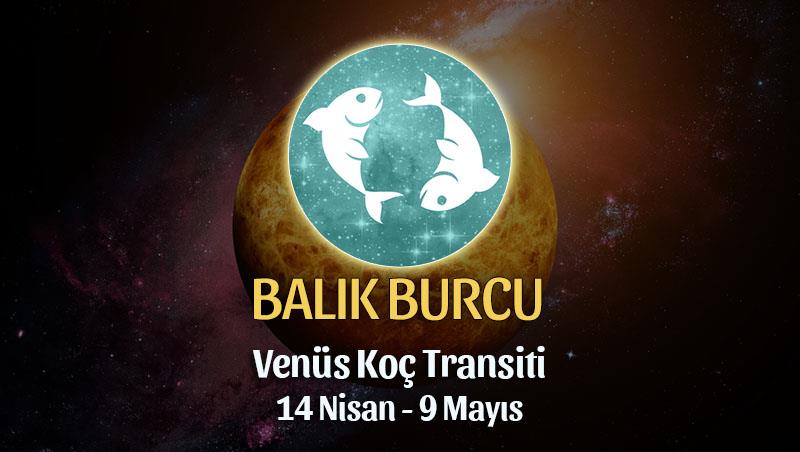 Balık Burcu - Venüs Boğa Transiti Burç Yorumu