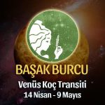 Başak Burcu - Venüs Boğa Transiti Burç Yorumu
