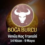 Boğa Burcu - Venüs Boğa Transiti Burç Yorumu