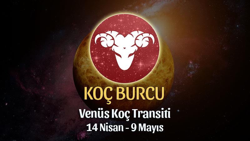 Koç Burcu - Venüs Boğa Transiti Burç Yorumu