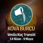 Kova Burcu - Venüs Boğa Transiti Burç Yorumu