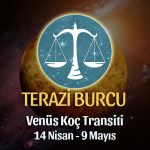 Terazi Burcu - Venüs Boğa Transiti Burç Yorumu