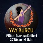 Yay Burcu - Plüton Retrosu Yorumu