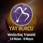 Yay Burcu - Venüs Boğa Transiti Burç Yorumu