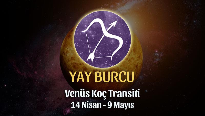 Yay Burcu - Venüs Boğa Transiti Burç Yorumu