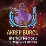 Akrep Burcu - Merkür Retrosu Burç Yorumu