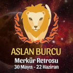 Aslan Burcu - Merkür Retrosu Burç Yorumu