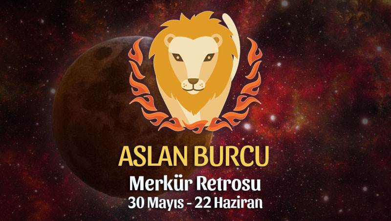 Aslan Burcu - Merkür Retrosu Burç Yorumu