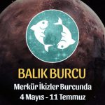 Balık Burcu - Merkür İkizler Transiti Burç Yorumu