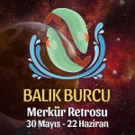 Balık Burcu - Merkür Retrosu Burç Yorumu