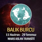 Balık Burcu - Mars Aslan Transiti Yorumu