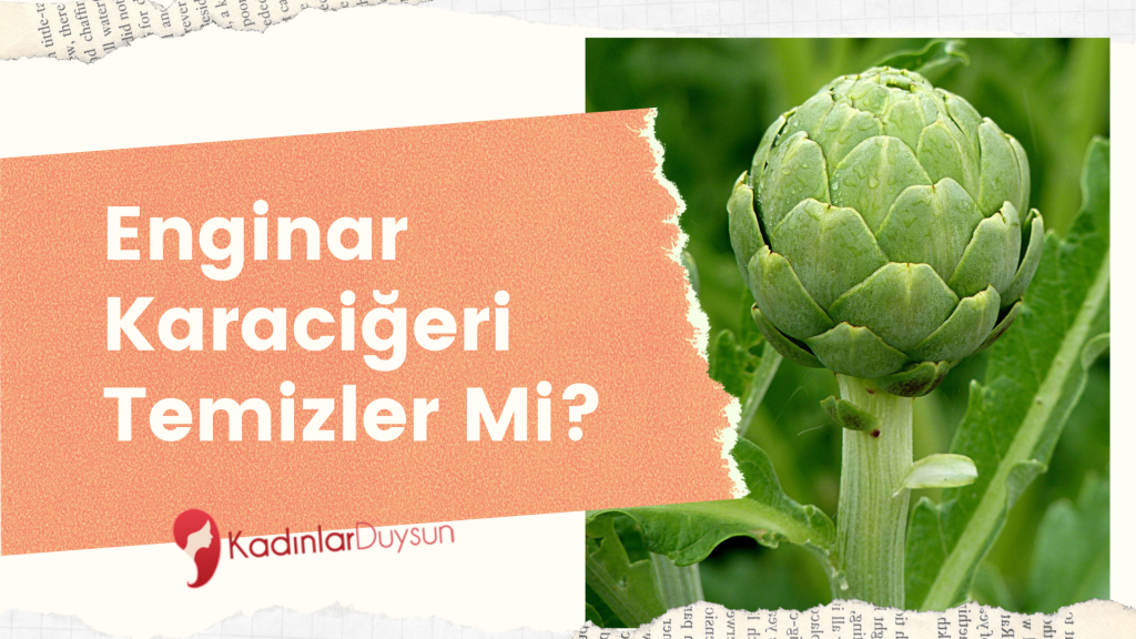 Enginar Karaciğeri Temizler Mi?