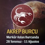 Akrep Burcu - Merkür Aslan Transiti Burç Yorumu