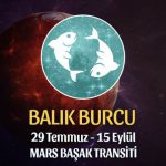 Balık Burcu - Mars Transiti Burç Yorumu