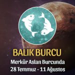 Balık Burcu - Merkür Aslan Transiti Burç Yorumu