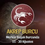 Akrep Burcu - Merkür Başak Burcunda Burç Yorumu