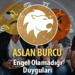 Aslan Burcu Engel Olamadığı Duyguları