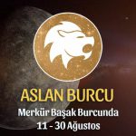 Aslan Burcu - Merkür Başak Burcunda Burç Yorumu