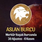 Aslan Burcu Merkür Transiti Burç Yorumu