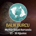 Balık Burcu - Merkür Başak Burcunda Burç Yorumu