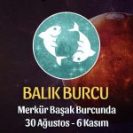 Balık Burcu Merkür Transiti Burç Yorumu