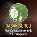 Başak Burcu - Merkür Başak Burcunda Burç Yorumu