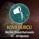 Kova Burcu - Merkür Başak Burcunda Burç Yorumu