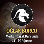 Oğlak Burcu - Merkür Başak Burcunda Burç Yorumu