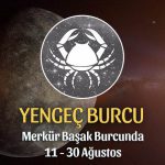 Yengeç Burcu - Merkür Başak Burcunda Burç Yorumu