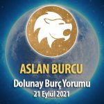 Aslan Burcu Dolunay Burç Yorumu