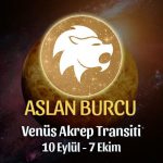 Aslan Burcu - Venüs Transiti Burç Yorumu
