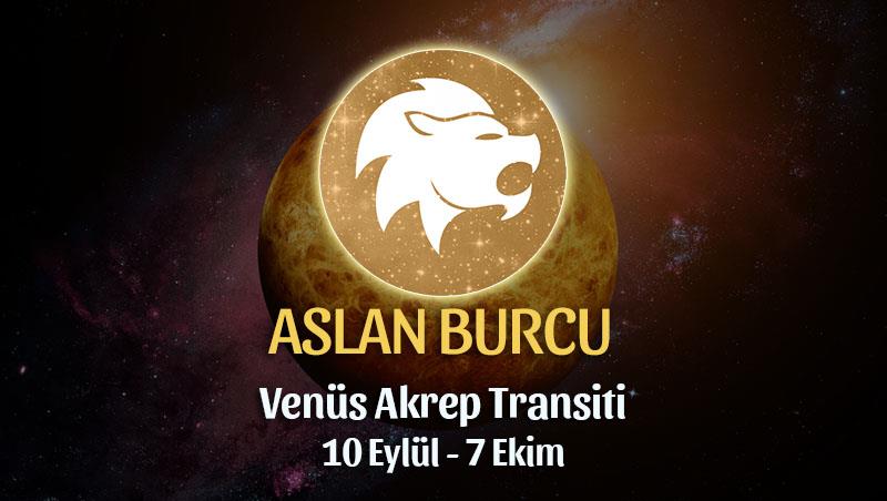 Aslan Burcu - Venüs Transiti Burç Yorumu