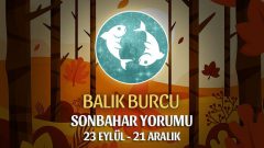 Balık Burcu 2021 Sonbahar Yorumu