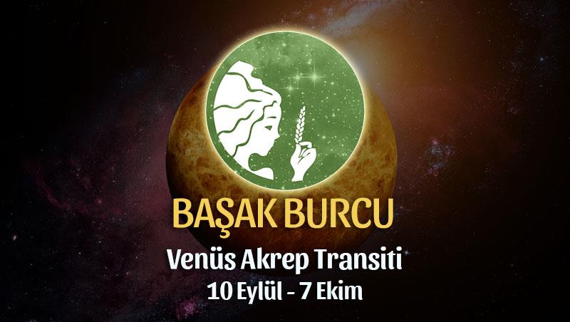 Başak Burcu - Venüs Transiti Burç Yorumu