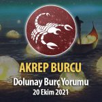 Akrep Burcu - Dolunay Burç Yorumu